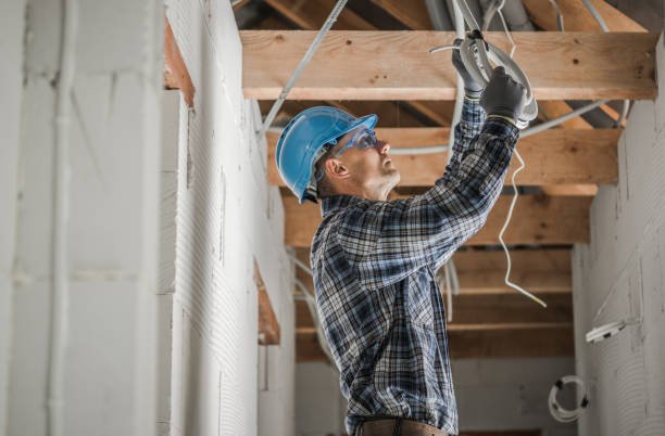 Best Electrical Wiring Services  in Panther Valley, NJ