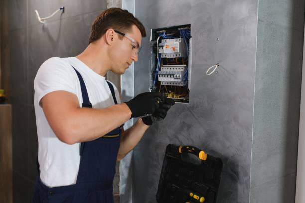 Best Electric Panel Repair  in Panther Valley, NJ
