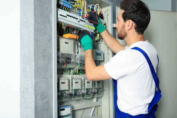Best Local Electrician Companies  in Panther Valley, NJ